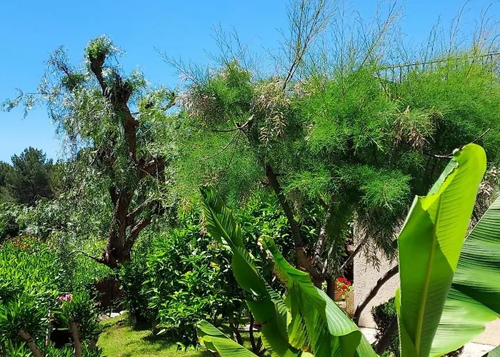 Jolie Maison Hauteur D'antibes Nyaraló